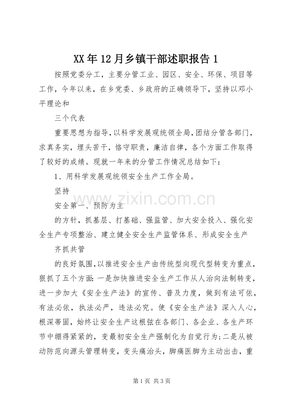 XX年12月乡镇干部述职报告1.docx_第1页