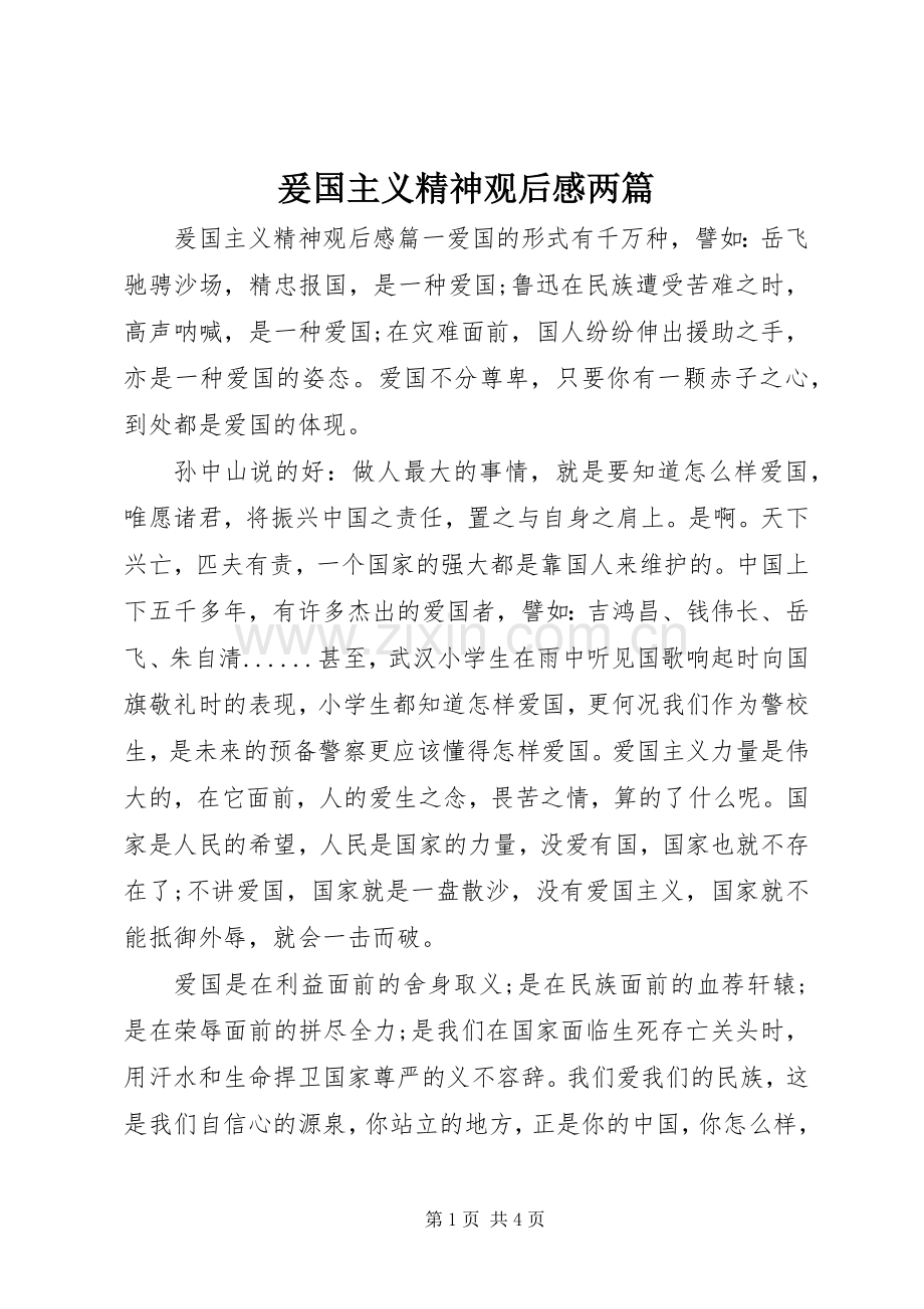爰国主义精神观后感两篇.docx_第1页
