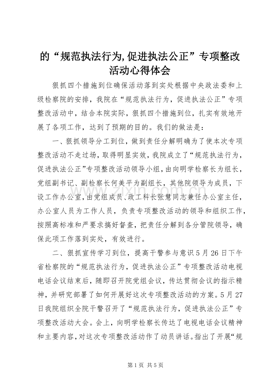 的“规范执法行为,促进执法公正”专项整改活动心得体会.docx_第1页