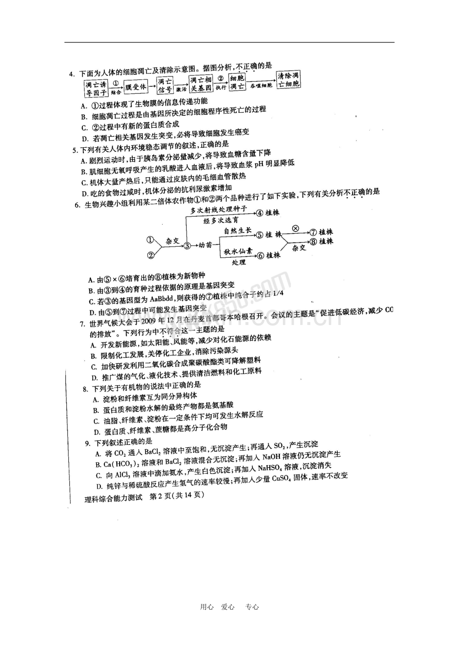 吉林省长春市2010年高三理综第三次调研测试(扫描版)-新人教版.doc_第2页