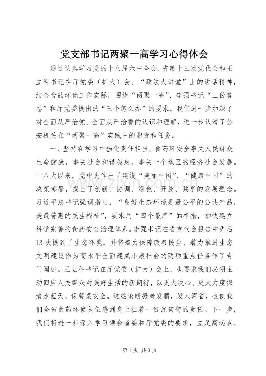 党支部书记两聚一高学习心得体会.docx_第1页