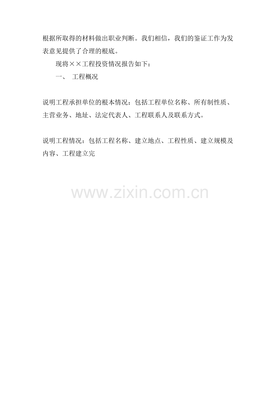 深圳项目投资专项审计报告.doc_第2页