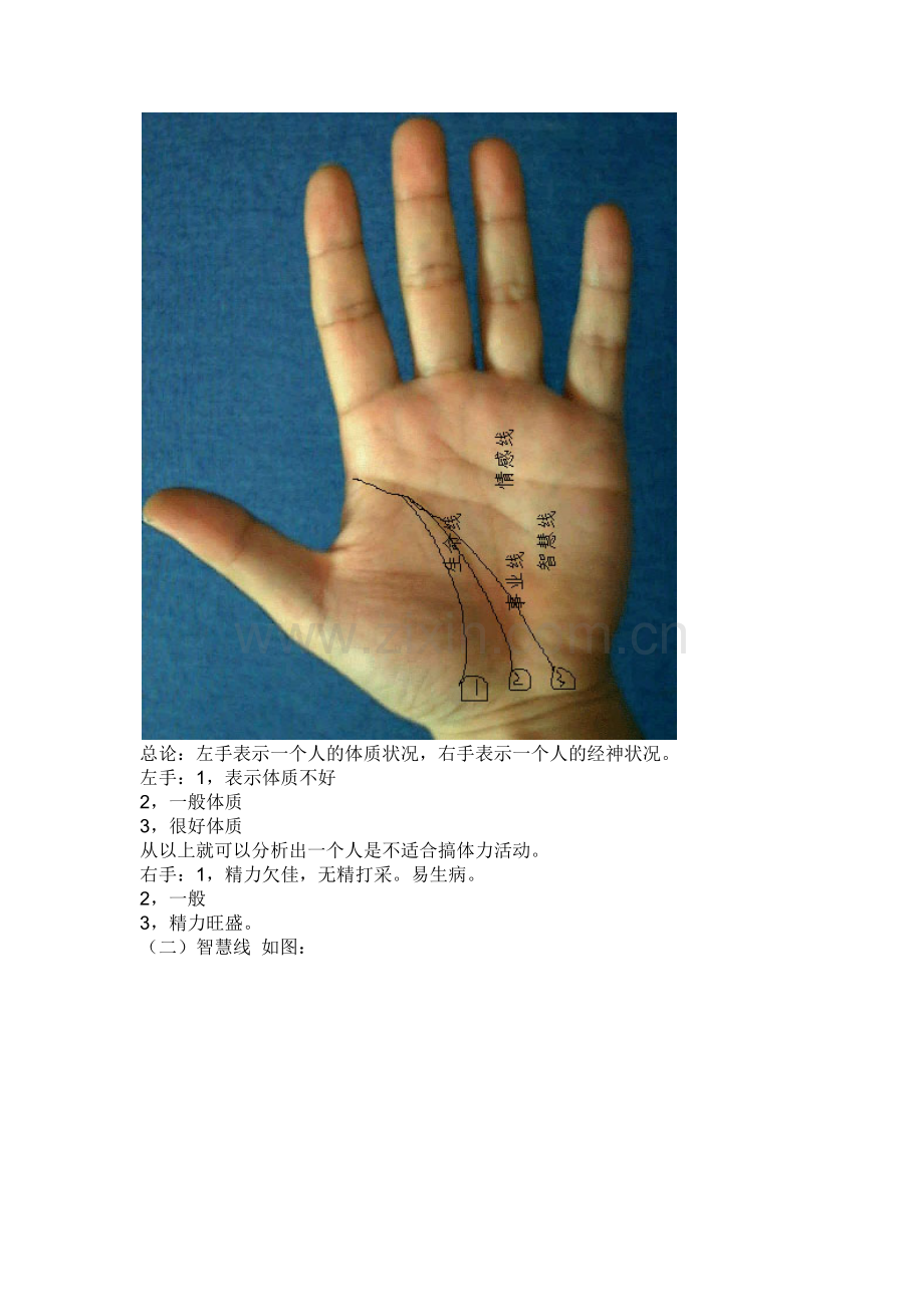 看手相必须要搞清楚的概念.docx_第2页