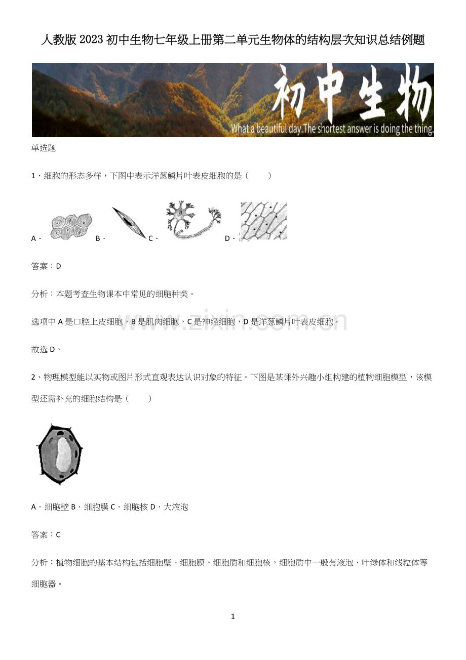 人教版2023初中生物七年级上册第二单元生物体的结构层次知识总结例题.docx_第1页