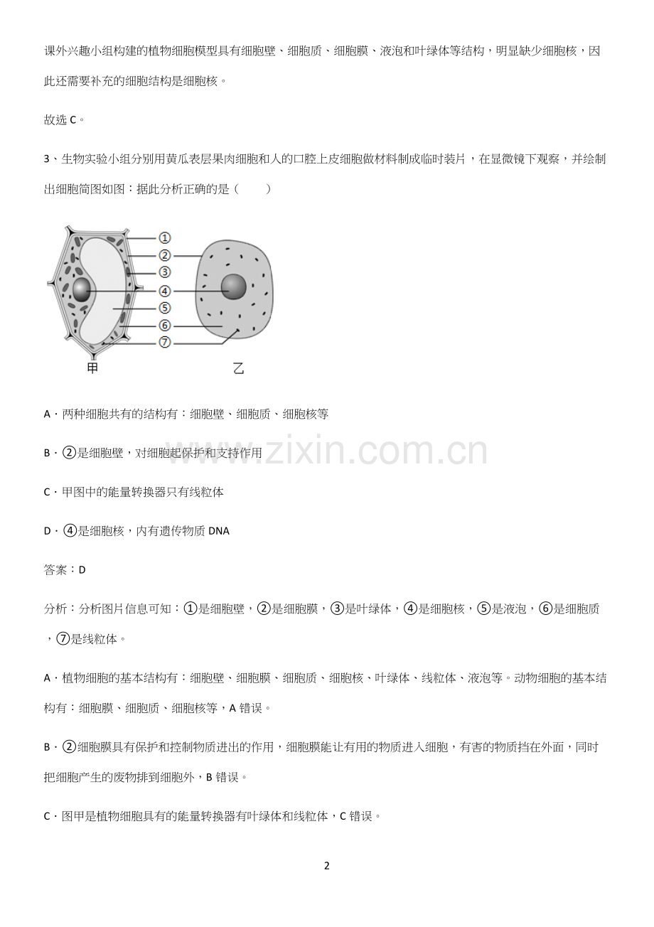 人教版2023初中生物七年级上册第二单元生物体的结构层次知识总结例题.docx_第2页