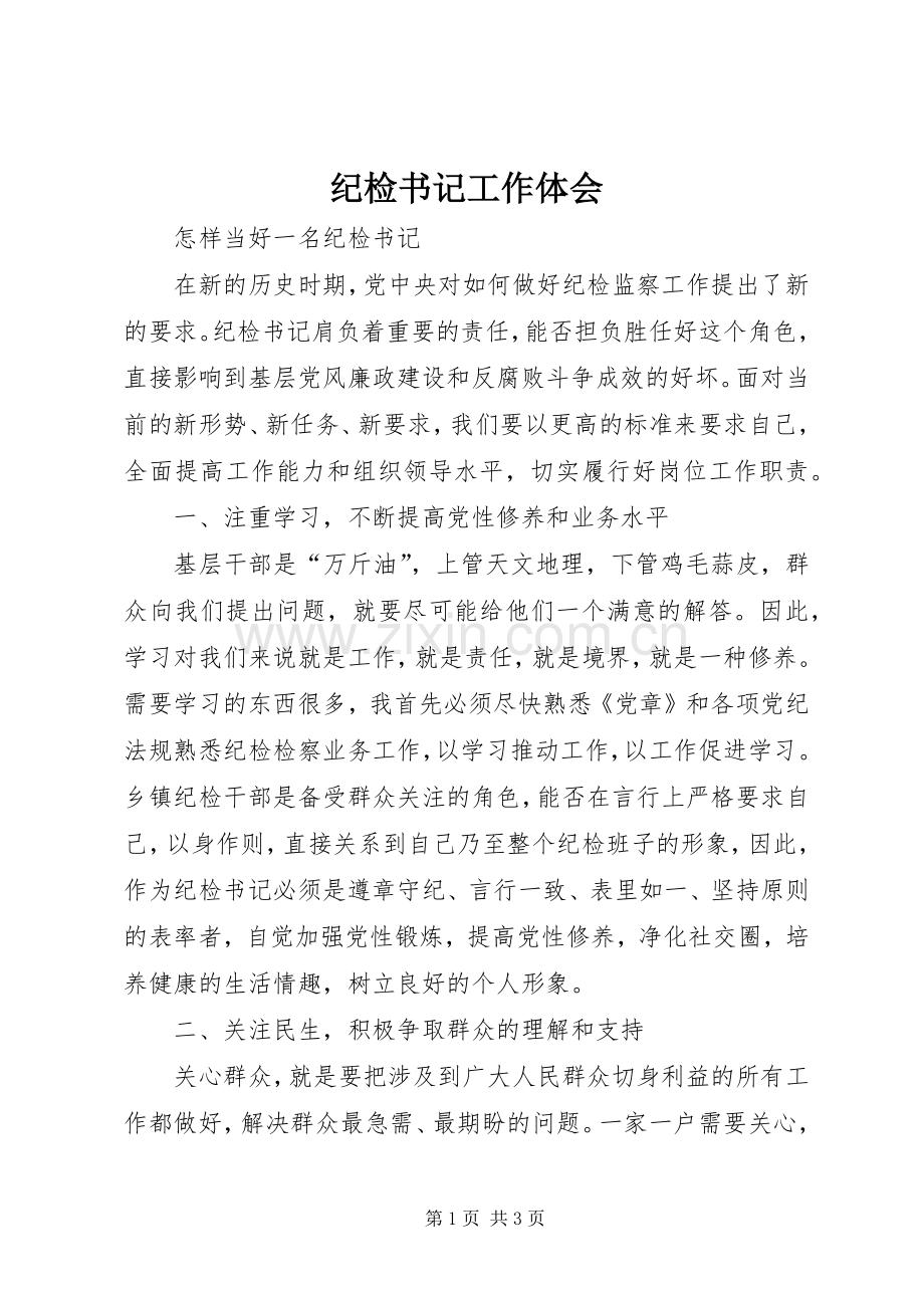 纪检书记工作体会.docx_第1页