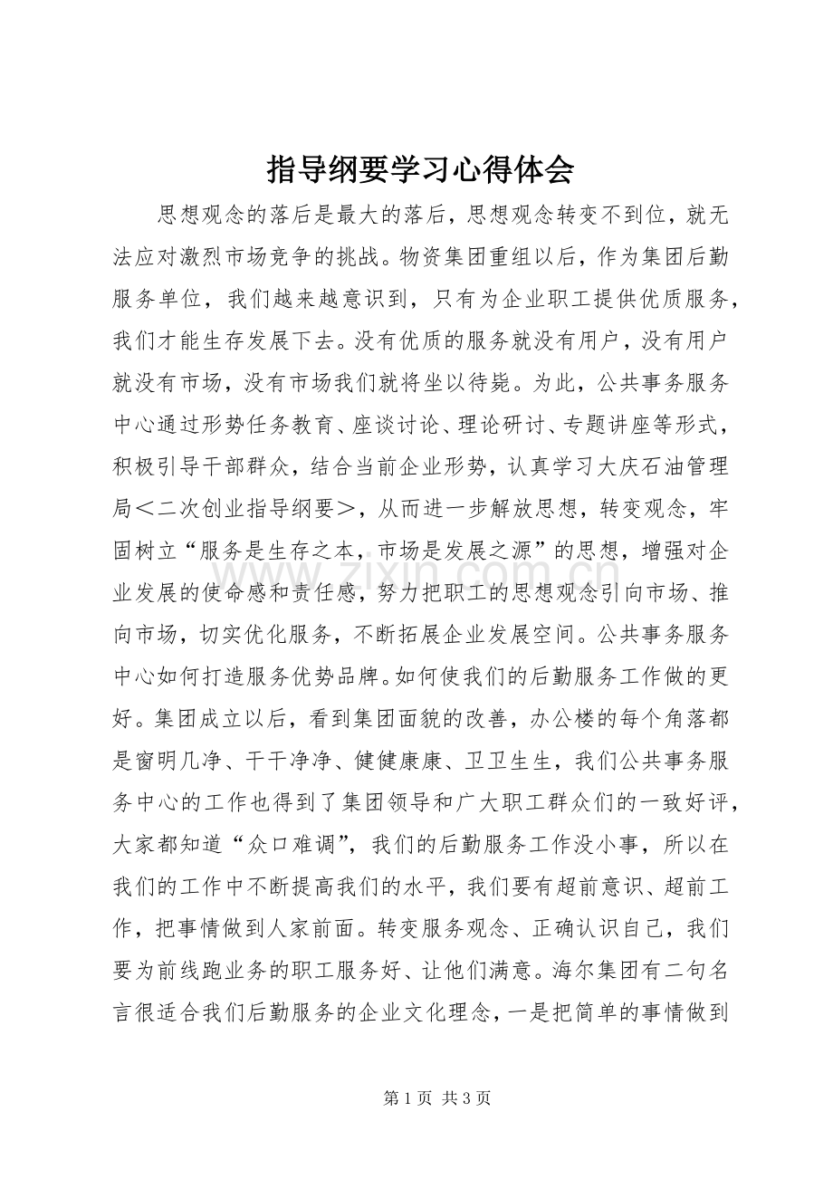 指导纲要学习心得体会.docx_第1页
