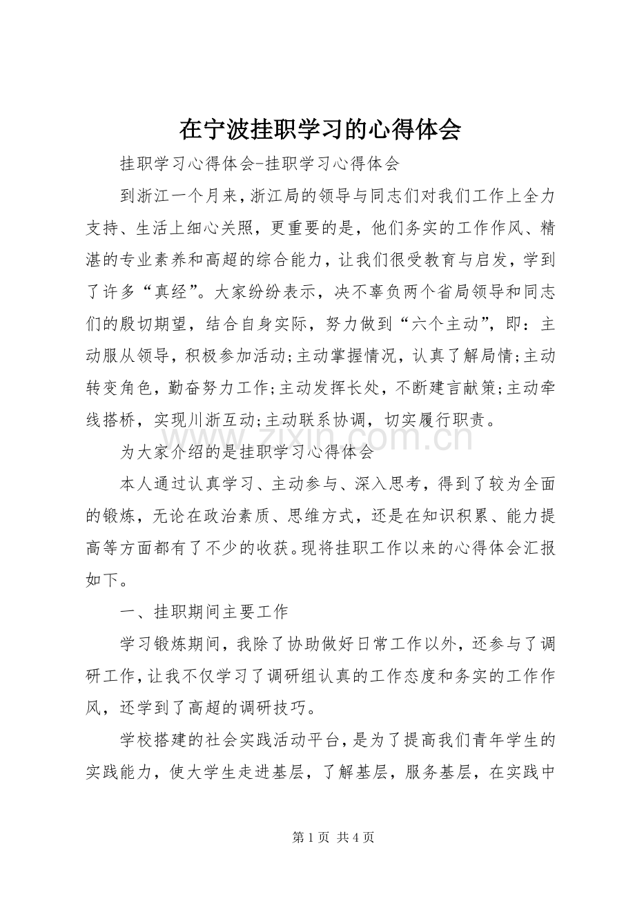 在宁波挂职学习的心得体会.docx_第1页