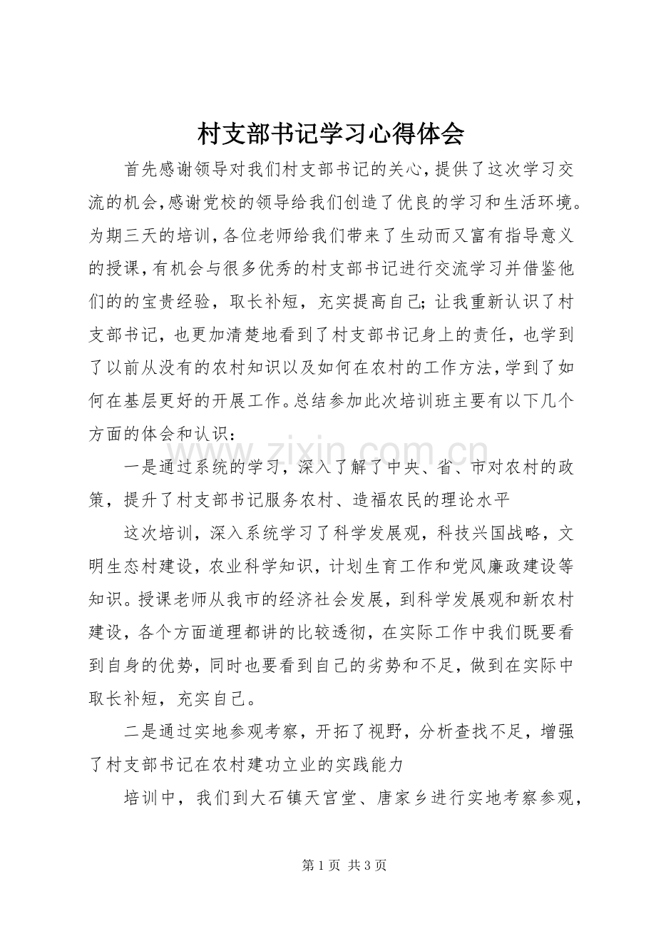 村支部书记学习心得体会.docx_第1页