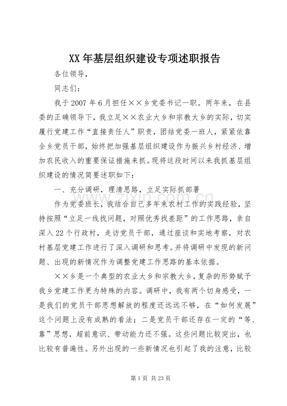 XX年基层组织建设专项述职报告.docx_第1页