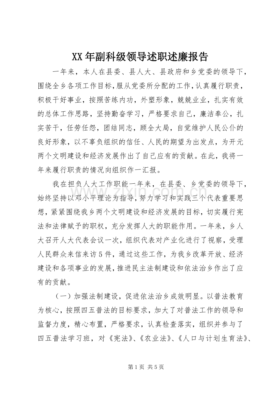 XX年副科级领导述职述廉报告.docx_第1页