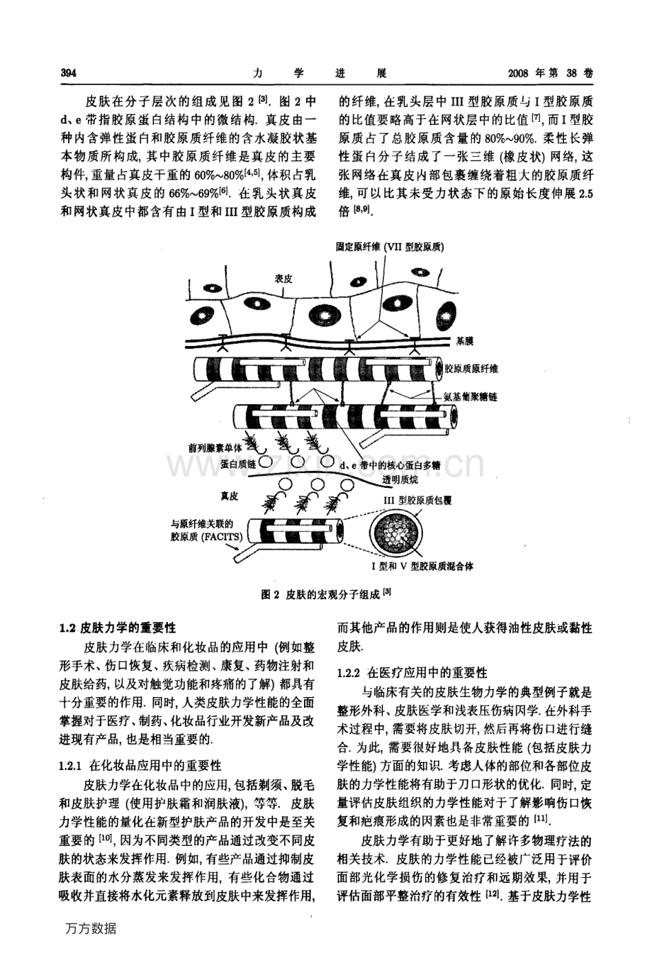皮肤的力学性能概述.pdf_第2页