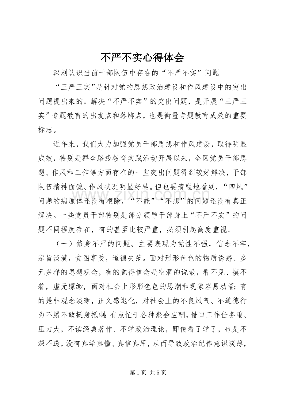 不严不实心得体会.docx_第1页
