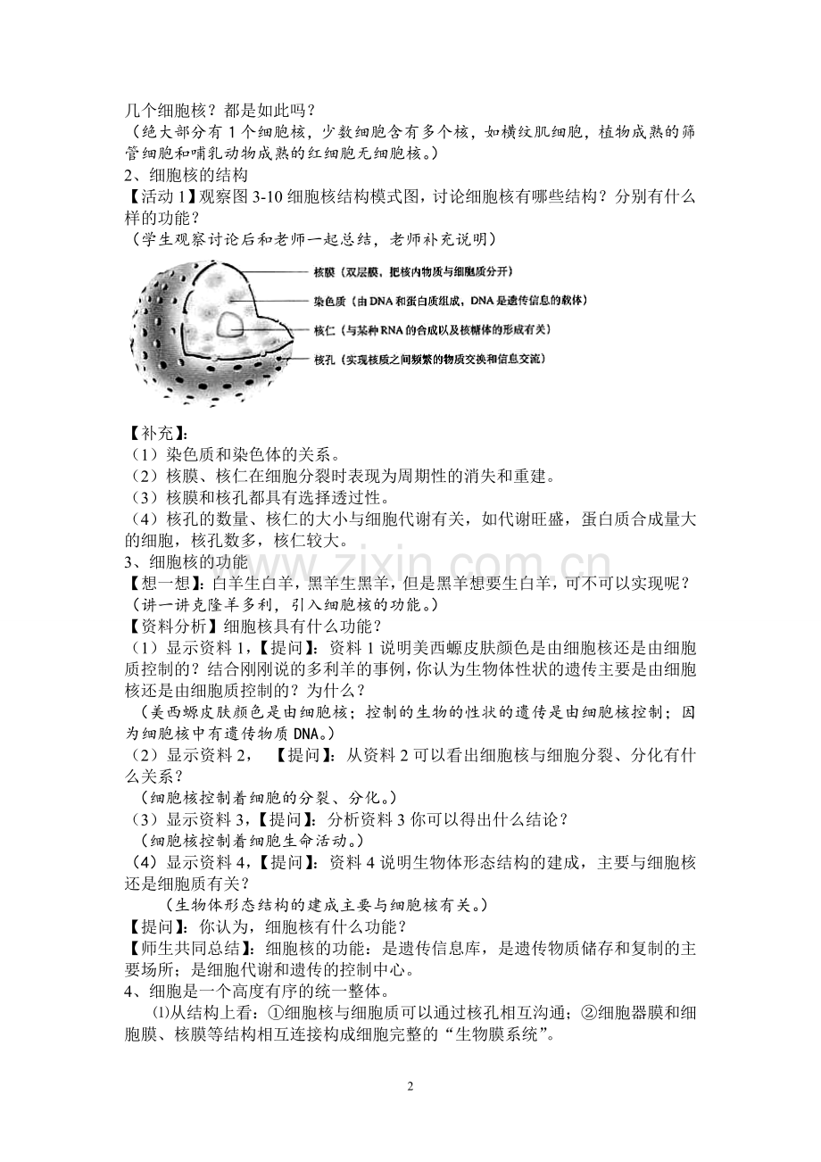陶艾艾细胞核——系统的控制中心教案设计.doc_第2页