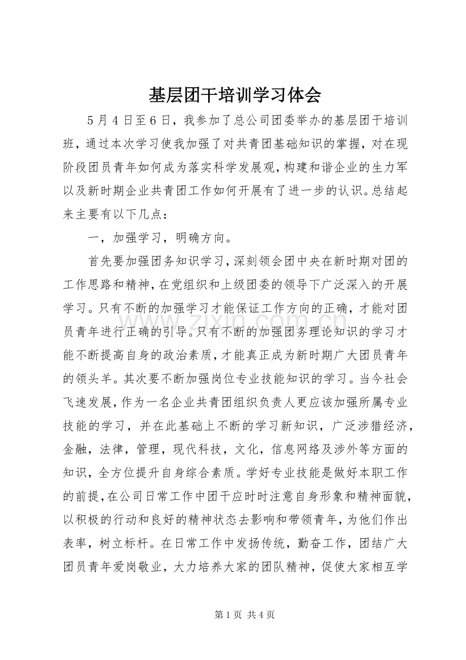 基层团干培训学习体会.docx_第1页