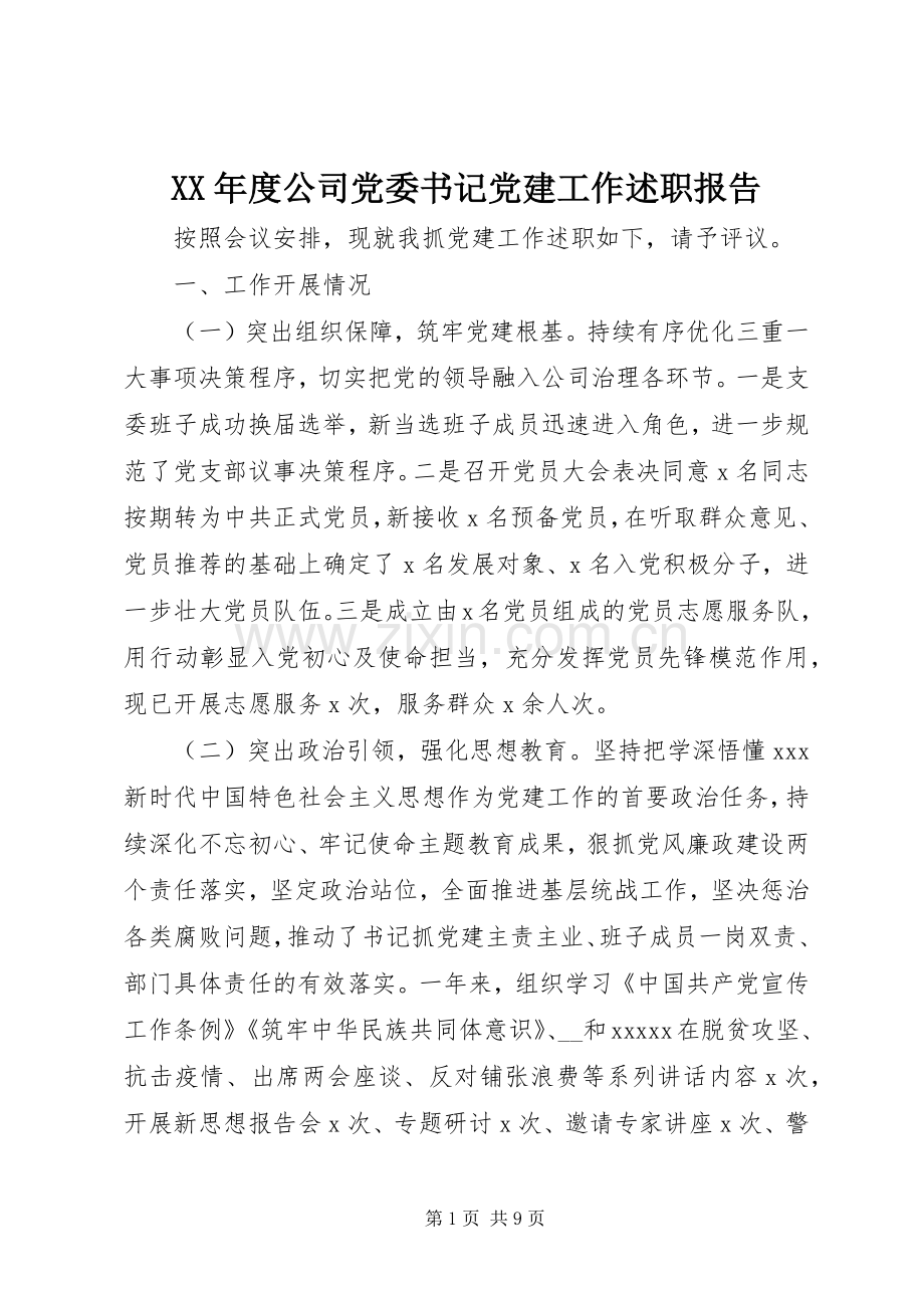 XX年度公司党委书记党建工作述职报告.docx_第1页