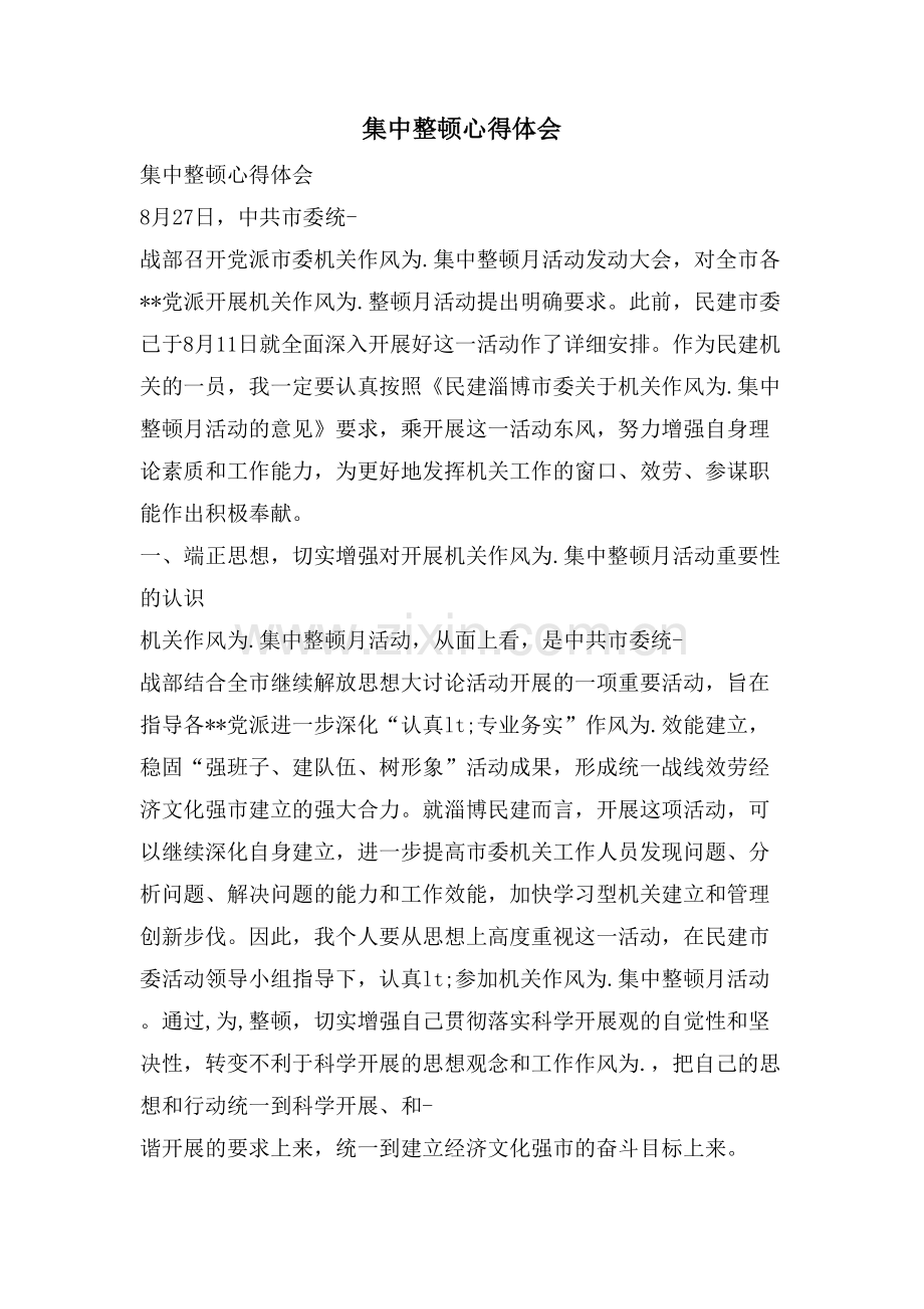 集中整顿心得体会.doc_第1页