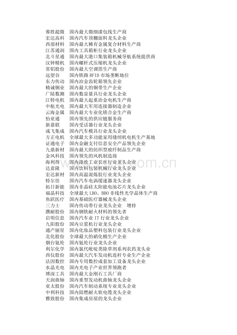 上市公司的细分市场的龙头公司.docx_第2页