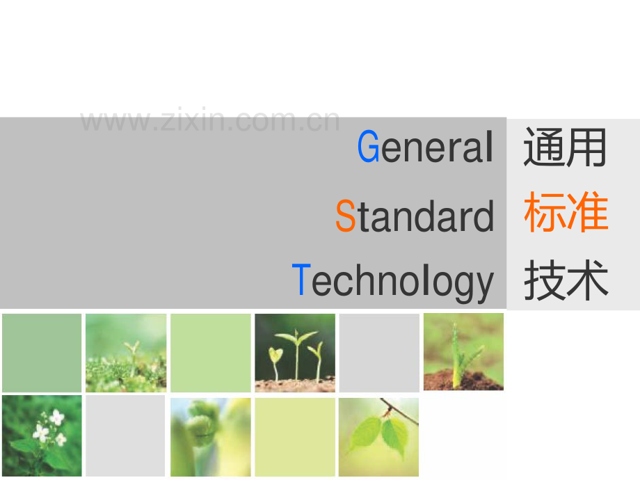 GST通规检测.pdf_第1页