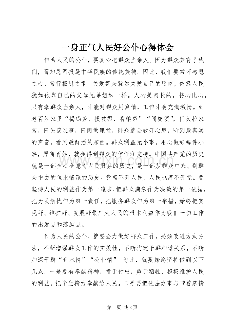 一身正气人民好公仆心得体会.docx_第1页