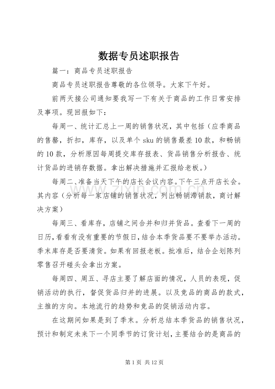 数据专员述职报告.docx_第1页