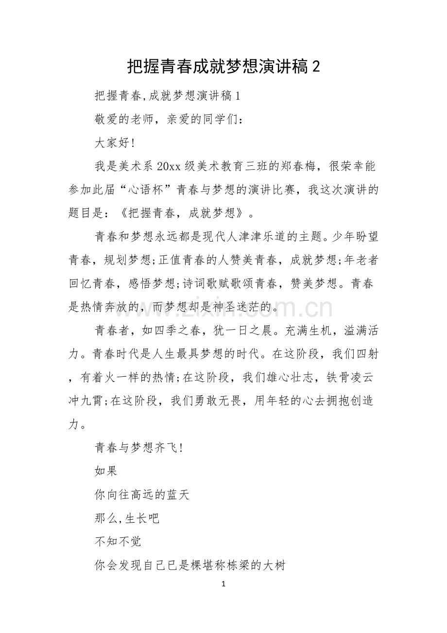 把握青春成就梦想演讲稿.docx_第1页