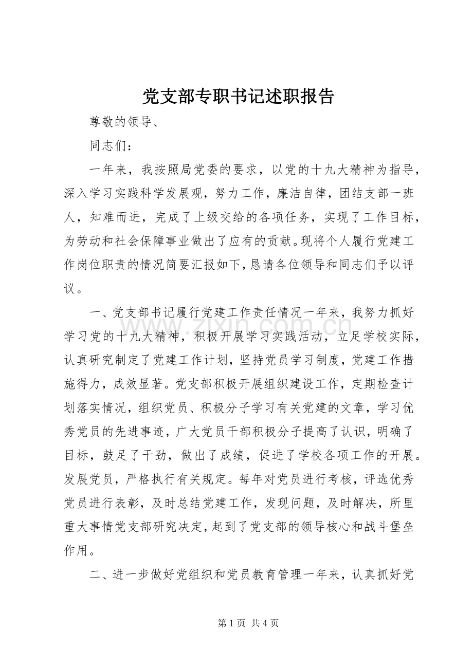 党支部专职书记述职报告.docx_第1页