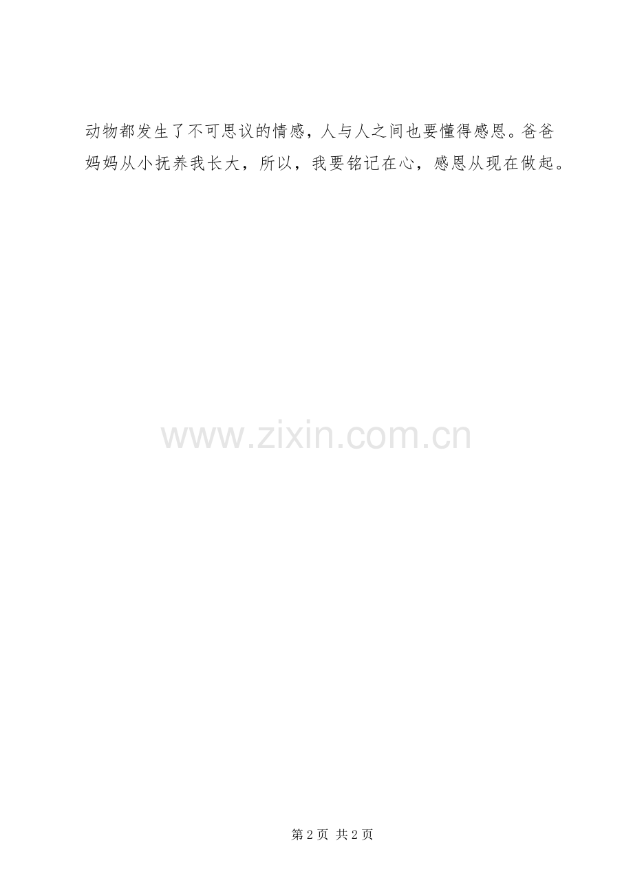 《老虎哈雷》读后感.docx_第2页