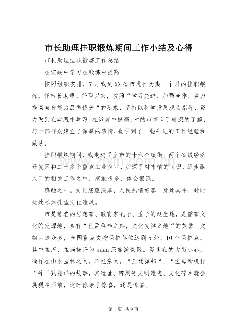 市长助理挂职锻炼期间工作小结及心得.docx_第1页