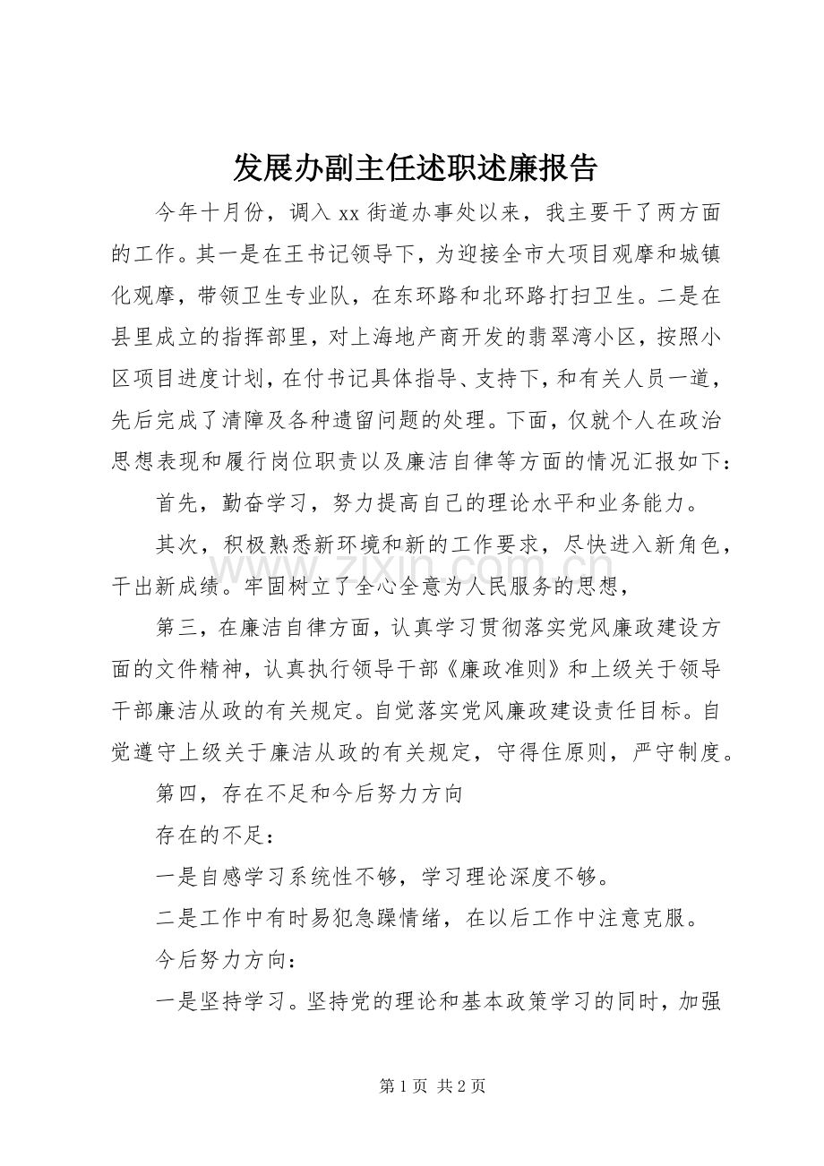 发展办副主任述职述廉报告.docx_第1页