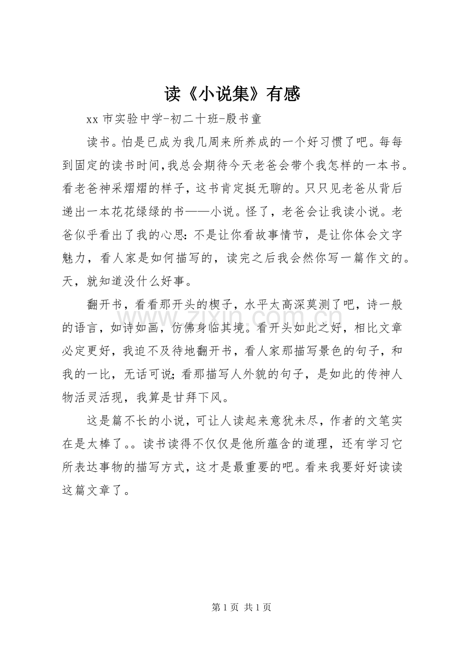 读《小说集》有感.docx_第1页