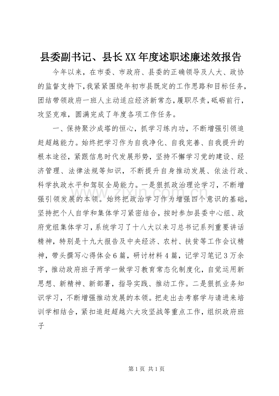 县委副书记、县长XX年度述职述廉述效报告.docx_第1页