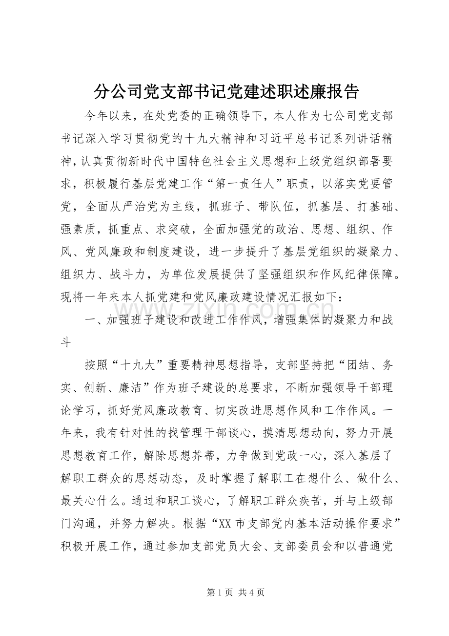 分公司党支部书记党建述职述廉报告.docx_第1页