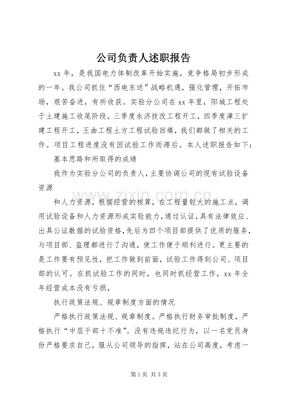 公司负责人述职报告.docx_第1页