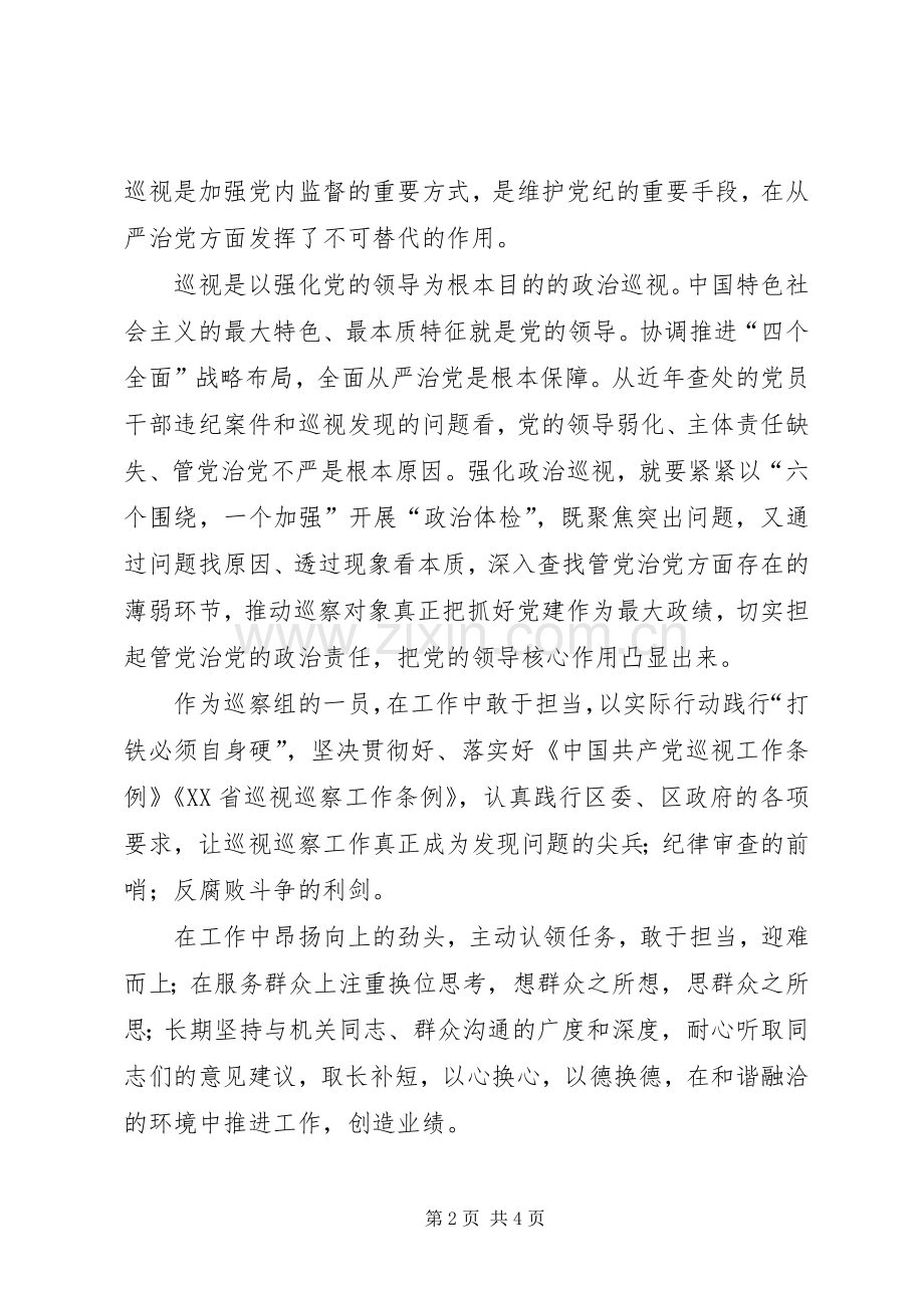 巡察工作述职报告.docx_第2页