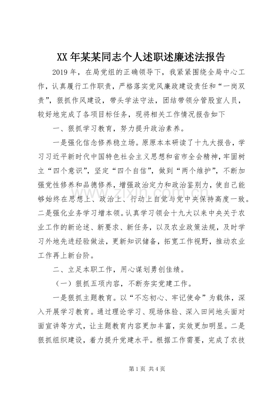 XX年某某同志个人述职述廉述法报告.docx_第1页