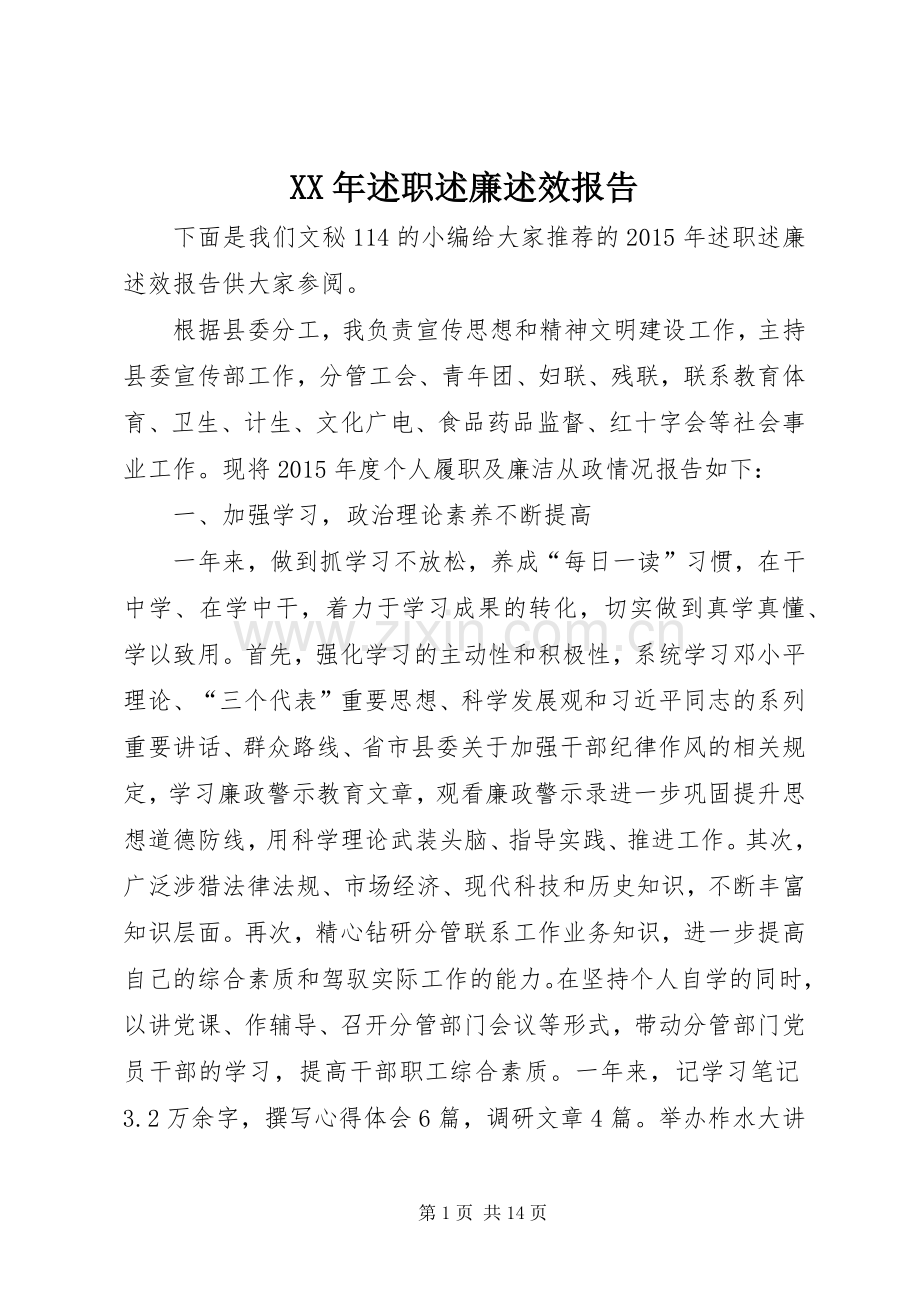 XX年述职述廉述效报告.docx_第1页