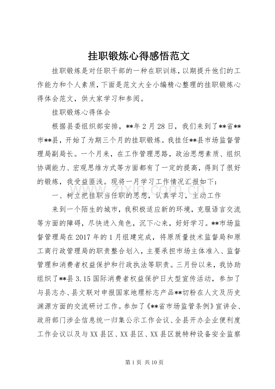 挂职锻炼心得感悟范文.docx_第1页
