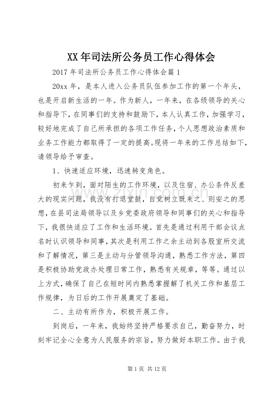 XX年司法所公务员工作心得体会.docx_第1页