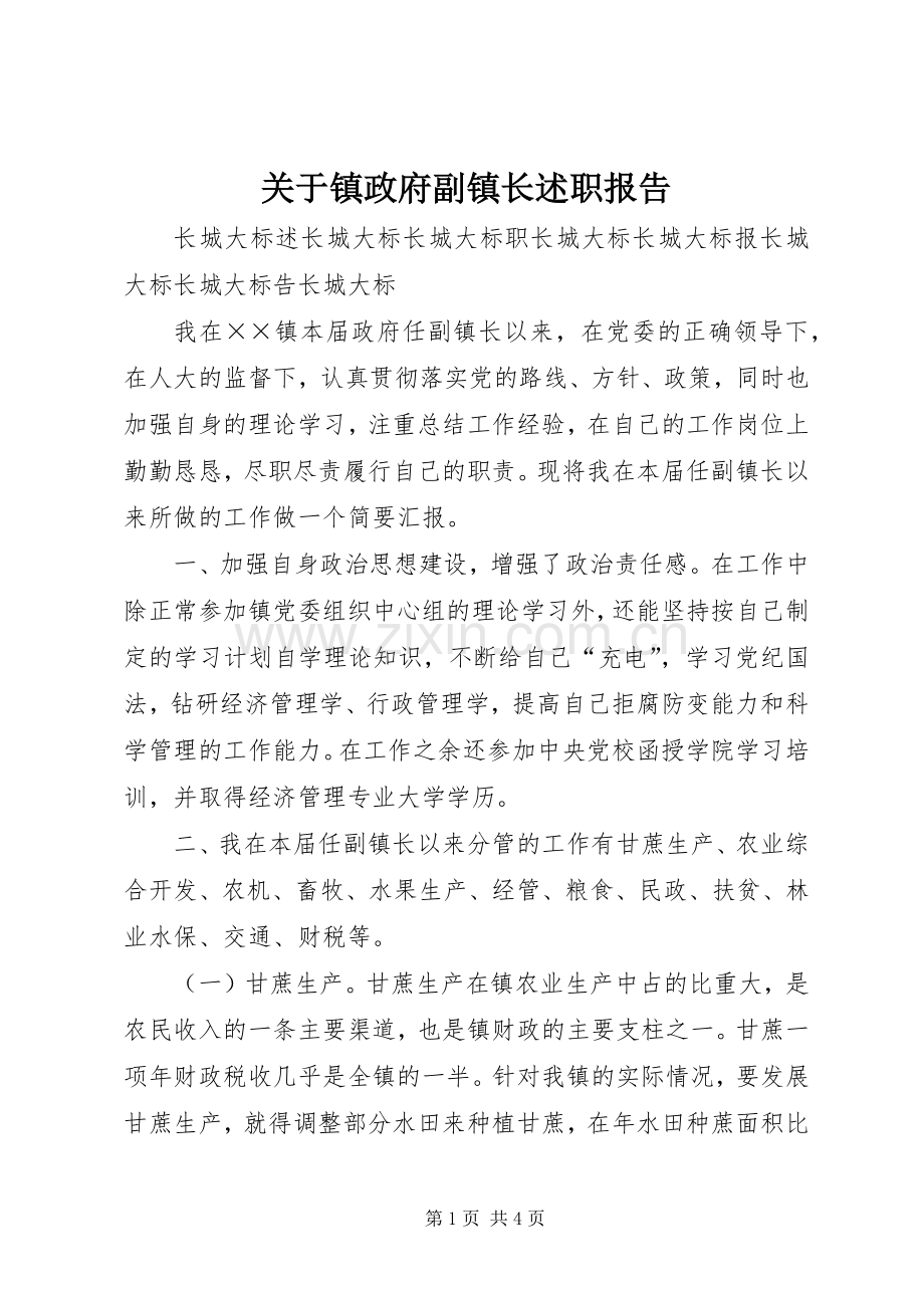 关于镇政府副镇长述职报告.docx_第1页