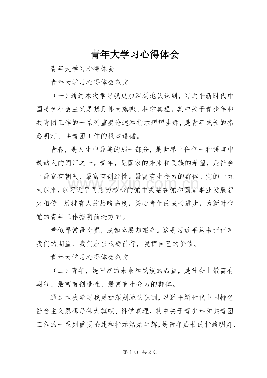 青年大学习心得体会.docx_第1页