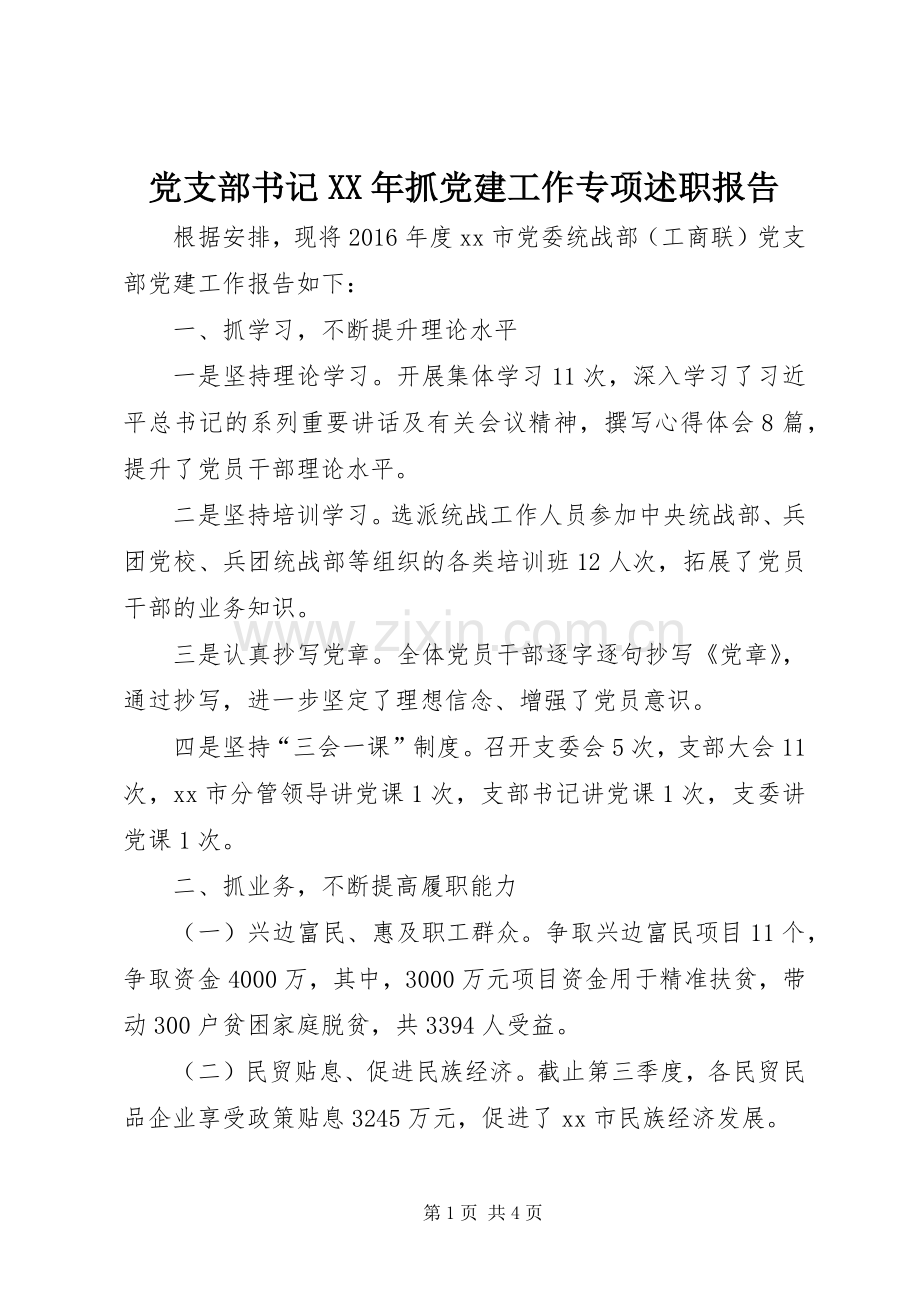 党支部书记XX年抓党建工作专项述职报告.docx_第1页