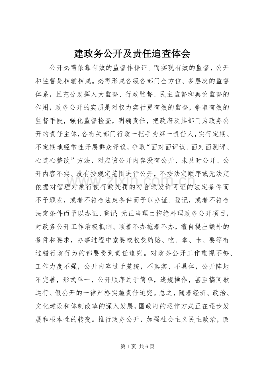 建政务公开及责任追查体会.docx_第1页