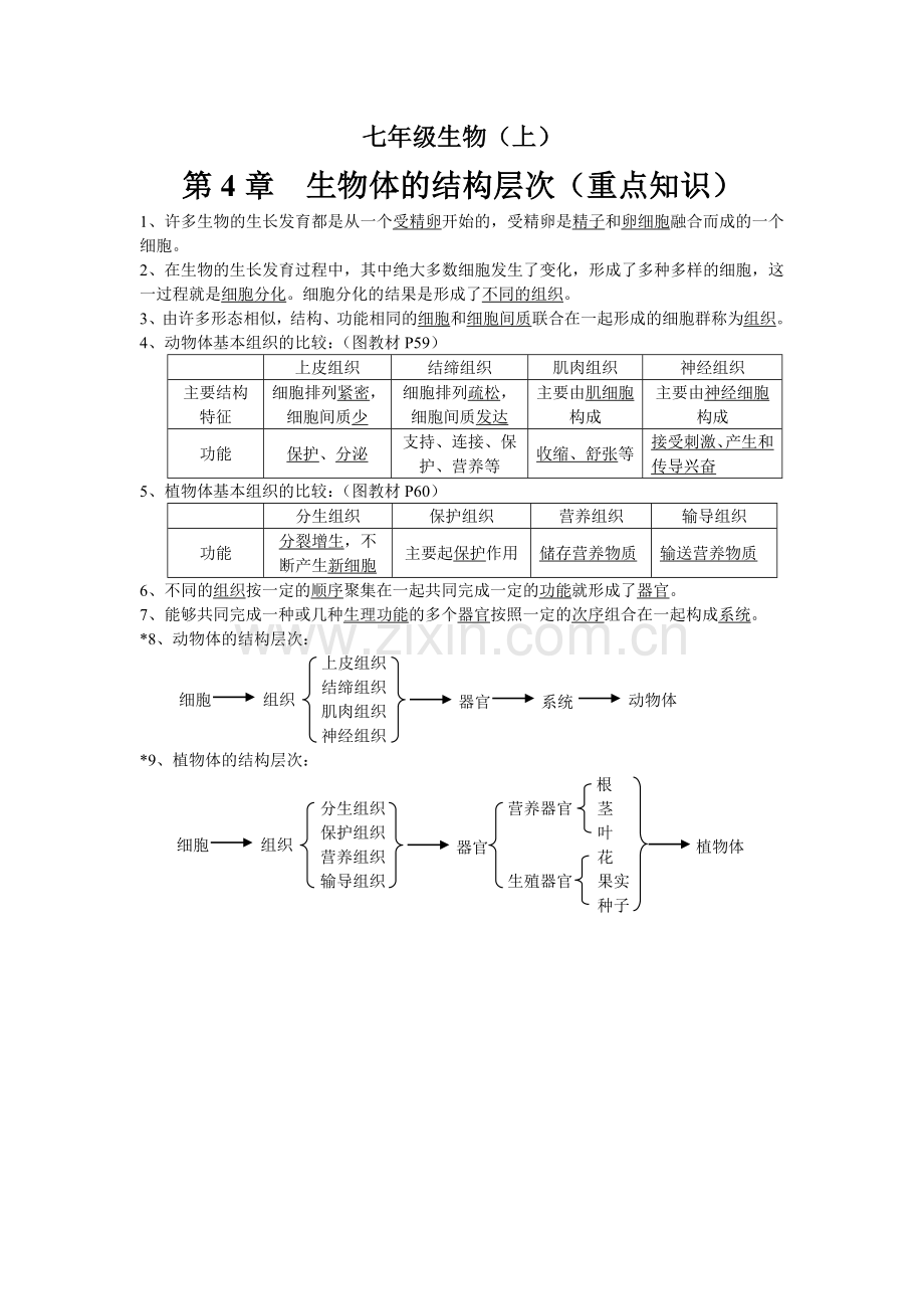 生物的结构层次(核心知识).doc_第1页