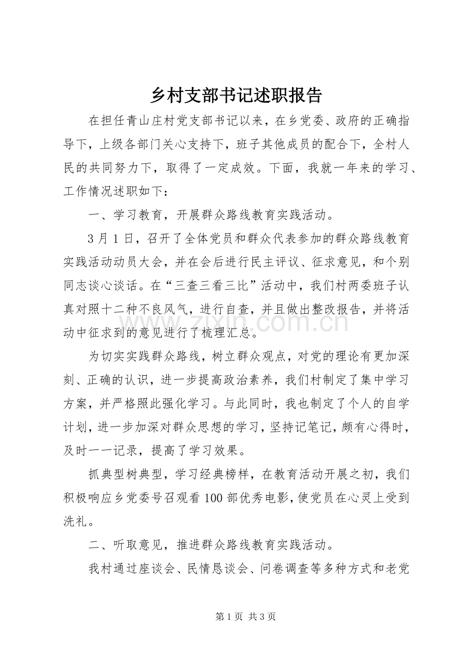 乡村支部书记述职报告.docx_第1页