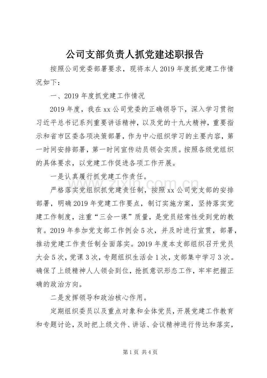 公司支部负责人抓党建述职报告.docx_第1页