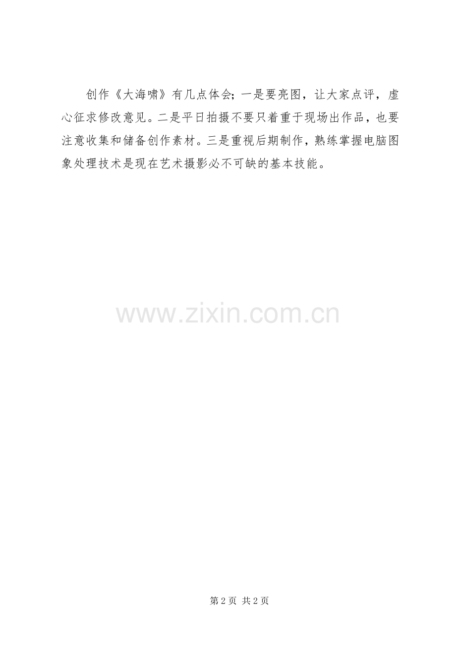 大海啸创作心得.docx_第2页