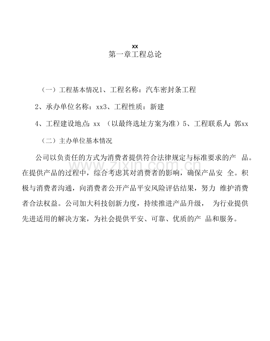 汽车密封条项目运营计划书模板.docx_第2页