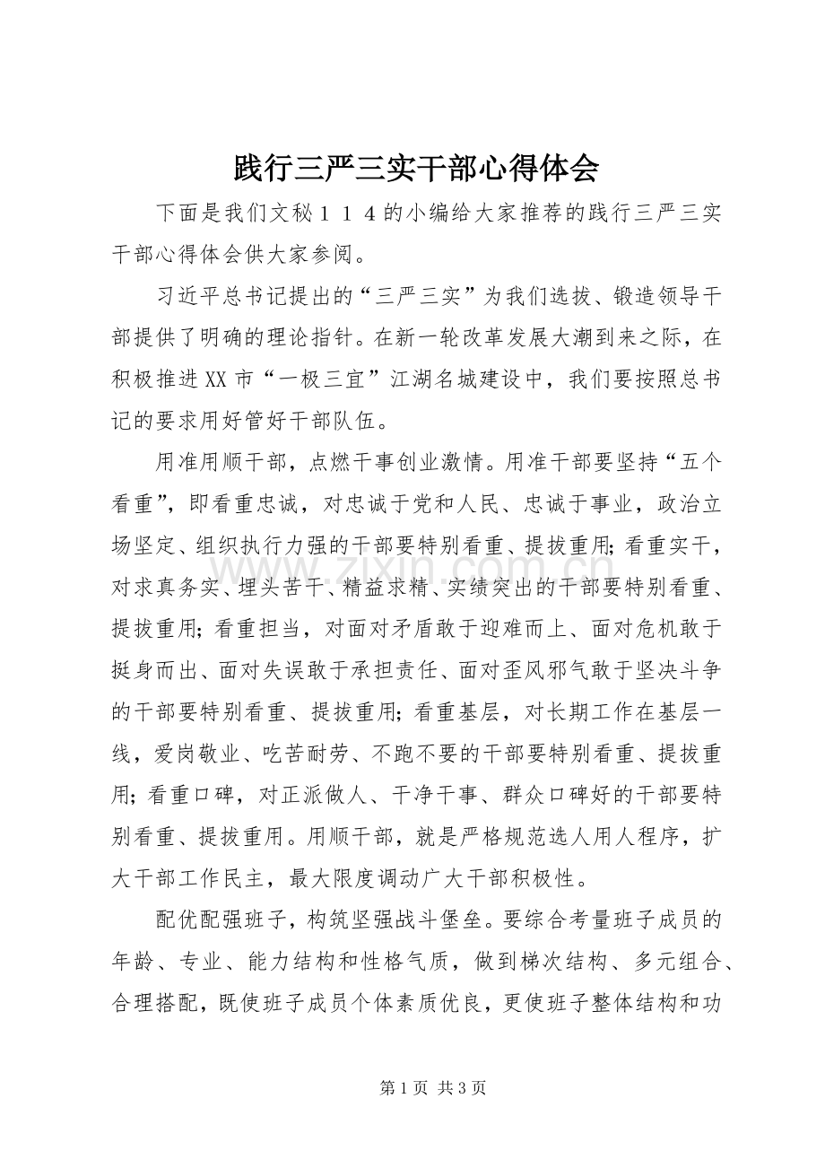 践行三严三实干部心得体会.docx_第1页