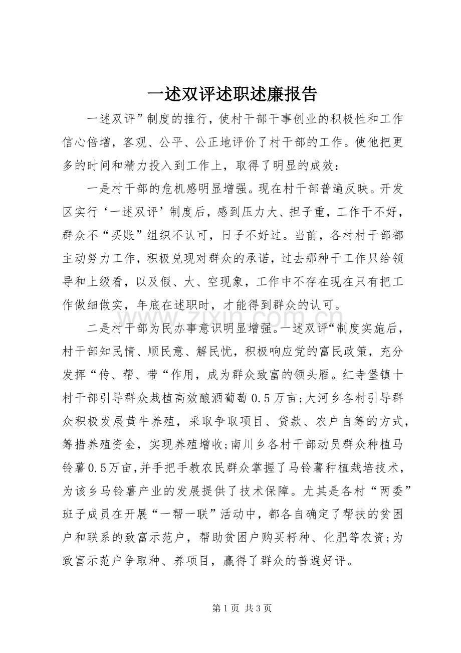 一述双评述职述廉报告.docx_第1页